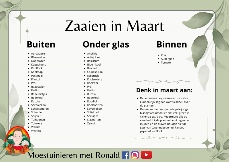 Zaden-zaaien-moestuinieren-maart-moestuinplan-wisselteelt